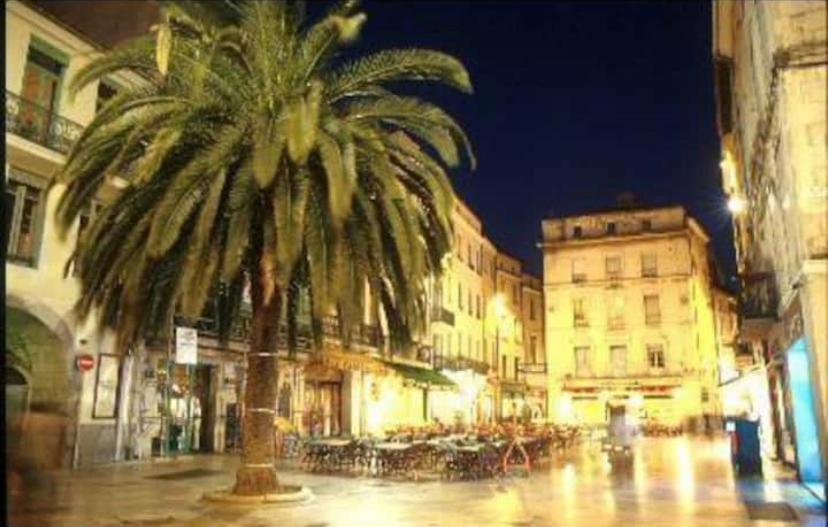 Studio Cosy Au Coeur De L'Ecusson - Arenes A 2 Min Nîmes Esterno foto